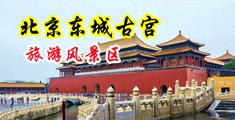 射我逼里面啊啊啊啊快点中国北京-东城古宫旅游风景区